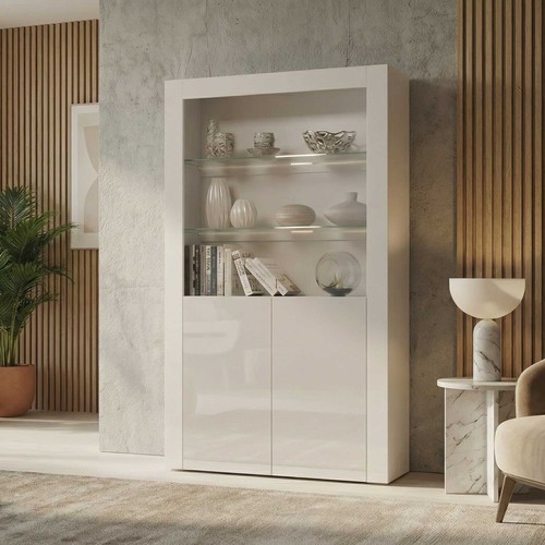 Display cabinet bookcase - cabinet,