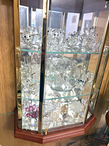 Glass display case with - case,